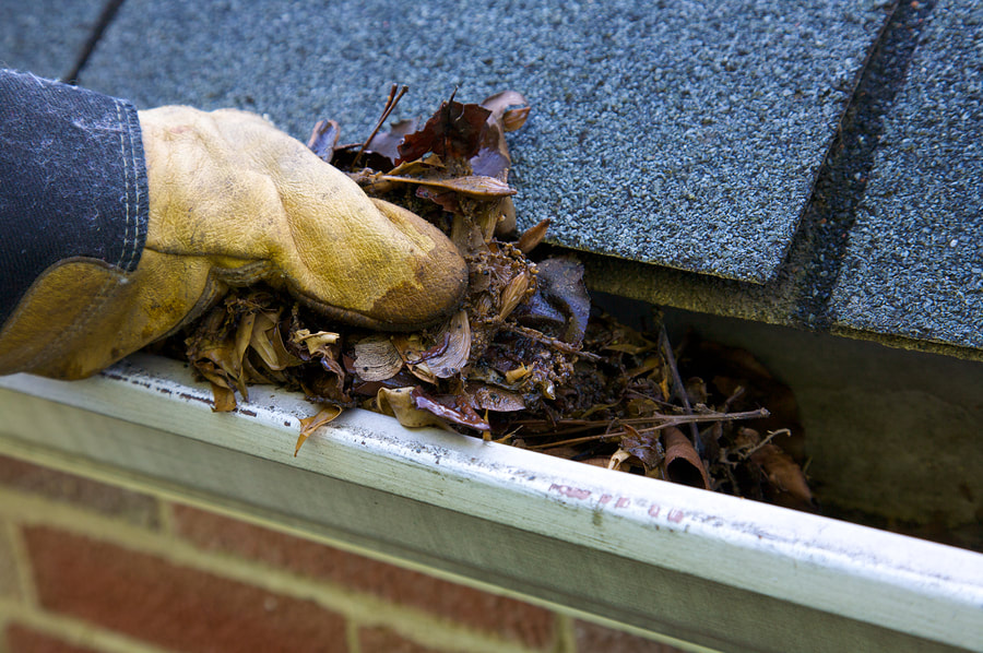 North Bay Gutter Cleaning